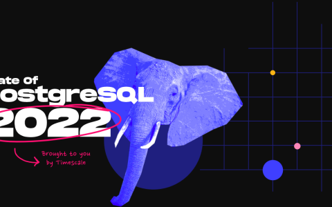 PostgreSQL 2022 报告：流行度上涨，开源、可靠性和扩展是关键「建议收藏」