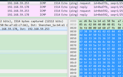 ICMP报文详解之ping实现[通俗易懂]