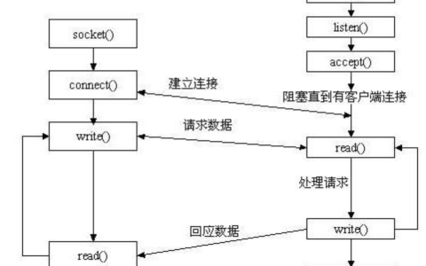 Socket编程入门（基于Java实现）[亲测有效]