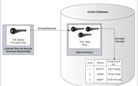 Oracle 11g使用透明数据加密保护存储数据