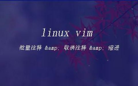 linux vim 批量注释 & 取消注释 & 缩进