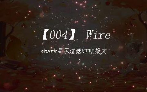 【004】 Wireshark显示过滤HTTP报文